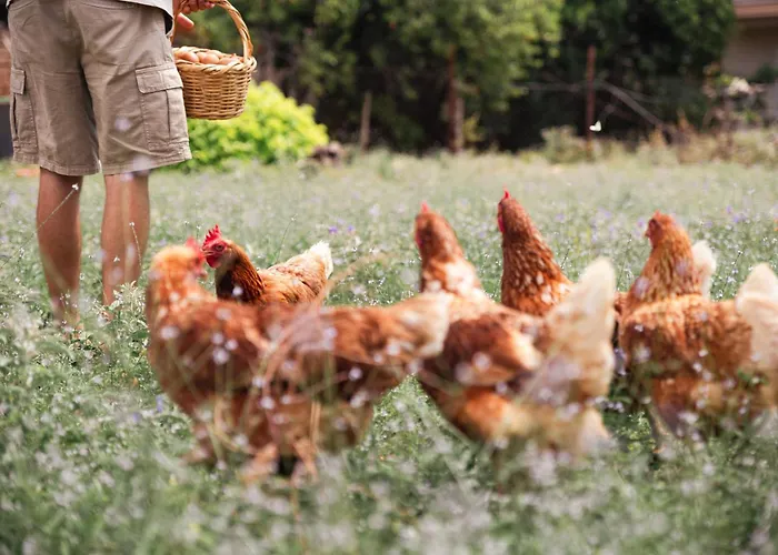 Akrolithos Luxury & Appart hôtel