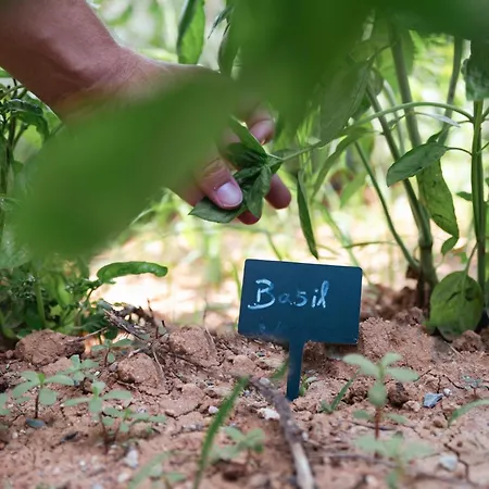 Ξενοδοχείο με διαμερίσματα Akrolithos Luxury & Φλογητά