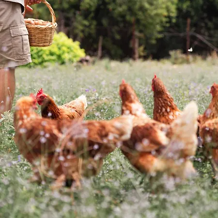 Akrolithos Luxury & Ξενοδοχείο με διαμερίσματα