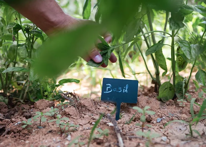 מלון דירות Akrolithos Luxury & פלוגיטה